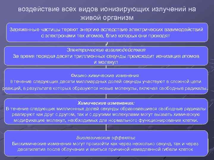  воздействие всех видов ионизирующих излучений на     живой организм 