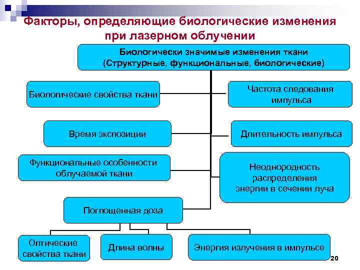 Факторы, определяющие биологические изменения при лазерном облучении Биологически Факторы, определяющие биологические изменения при лазерном облучении Биологически