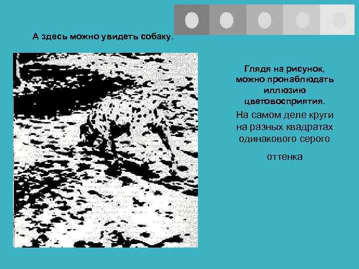 А здесь можно увидеть собаку.       Глядя на рисунок,
