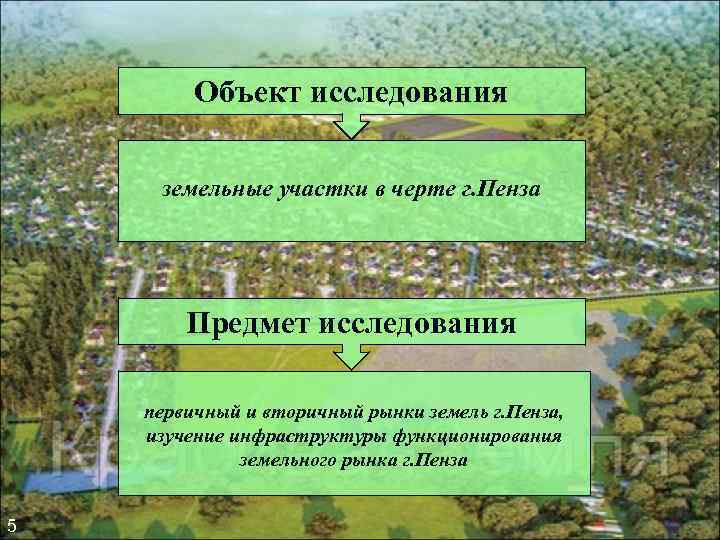 Объект исследования земельные участки в черте г. Пенза Объект исследования земельные участки в черте г. Пенза
