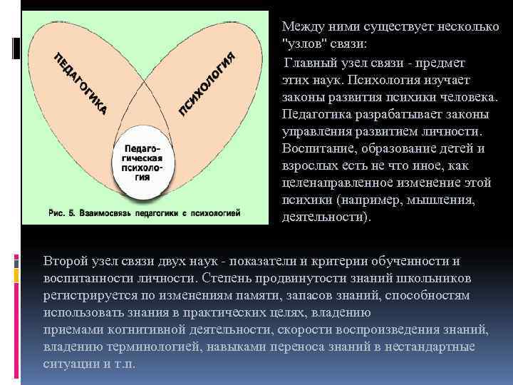       Между ними существует несколько    