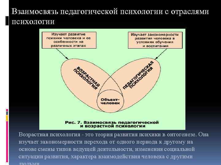 Взаимосвязь педагогической психологии с отраслями психологии Возрастная психология - это теория развития психики в