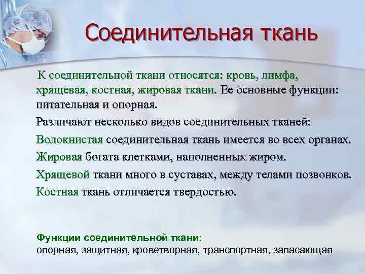    Соединительная ткань К соединительной ткани относятся: кровь, лимфа, хрящевая, костная, жировая