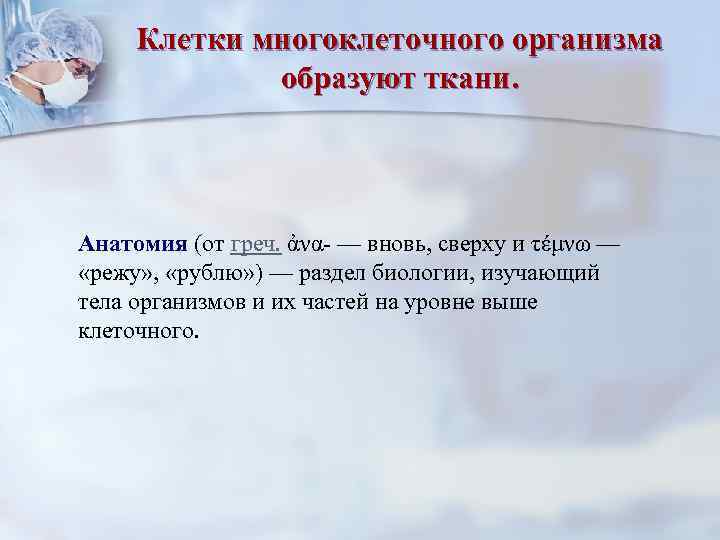  Клетки многоклеточного организма   образуют ткани. Анатомия (от греч. ἀνα- — вновь,