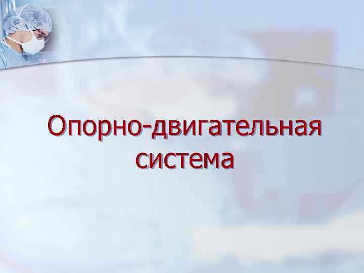 Опорно-двигательная  система 