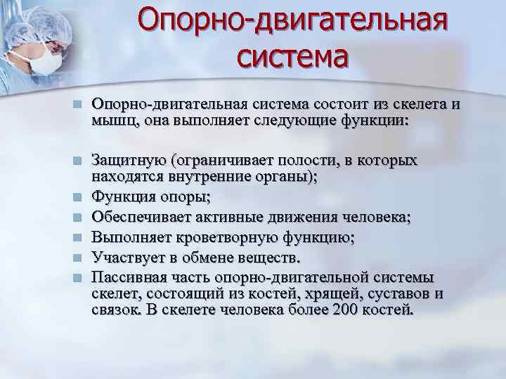    Опорно-двигательная   система n  Опорно-двигательная система состоит из скелета