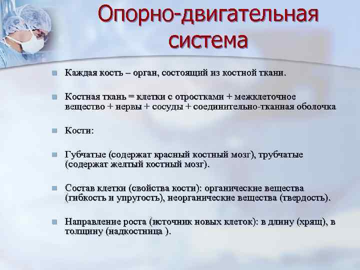    Опорно-двигательная    система n  Каждая кость – орган,
