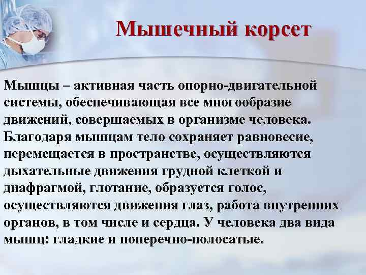     Мышечный корсет Мышцы – активная часть опорно-двигательной системы, обеспечивающая все