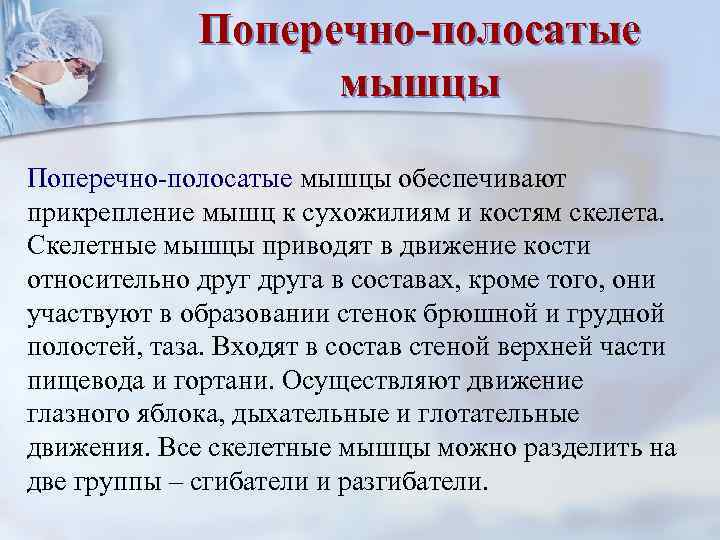    Поперечно-полосатые    мышцы Поперечно-полосатые мышцы обеспечивают прикрепление мышц к