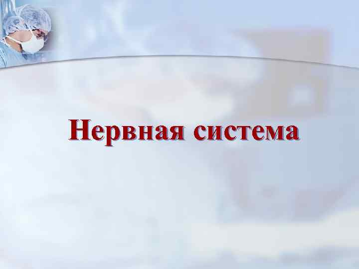 Нервная система 