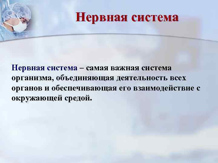     Нервная система – самая важная система организма, объединяющая деятельность всех