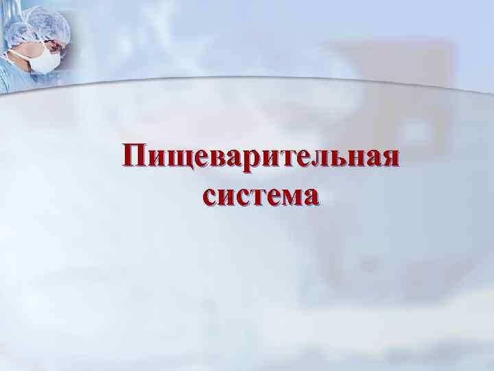 Пищеварительная система 