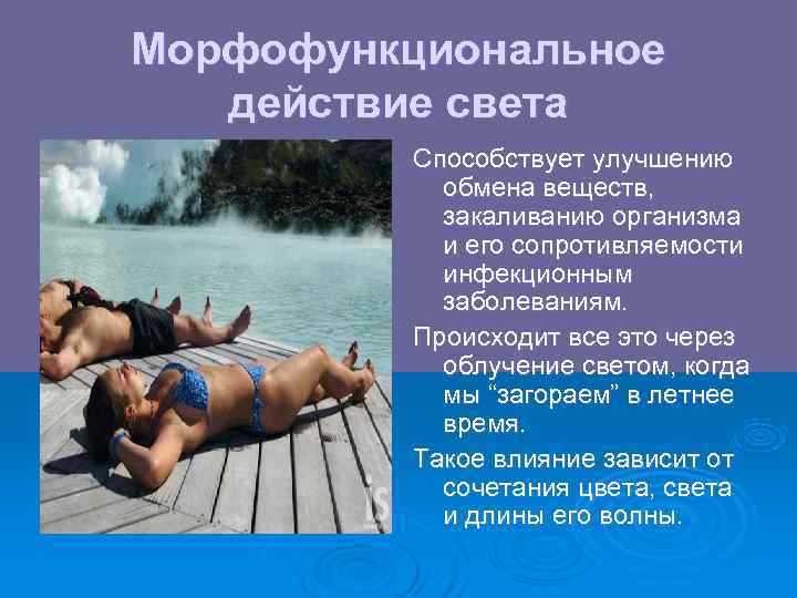 Морфофункциональное  действие света   Способствует улучшению   обмена веществ,  