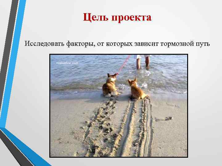     Цель проекта Исследовать факторы, от которых зависит тормозной путь 