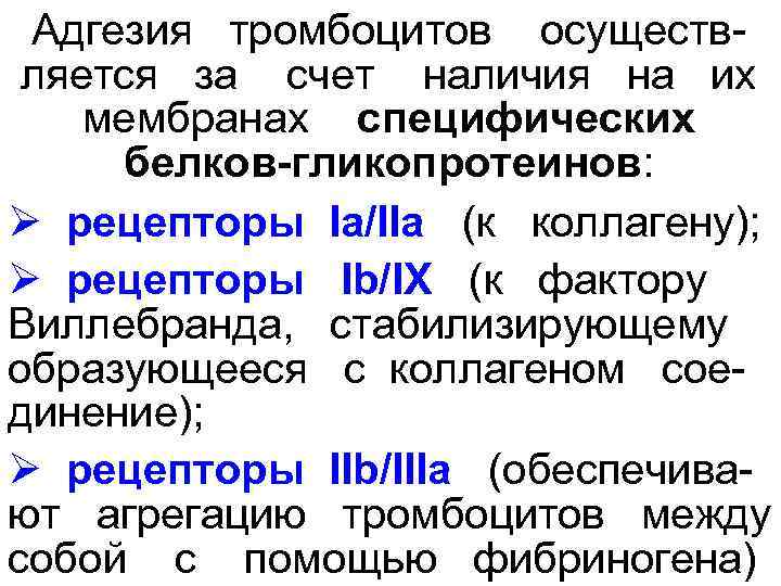  Адгезия  тромбоцитов  осуществ  ляется  за  счет  наличия
