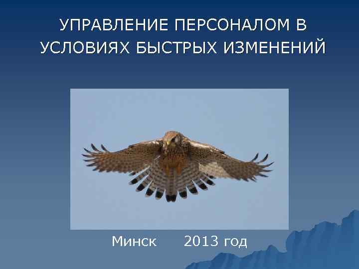  УПРАВЛЕНИЕ ПЕРСОНАЛОМ В УСЛОВИЯХ БЫСТРЫХ ИЗМЕНЕНИЙ  Минск  2013 год 