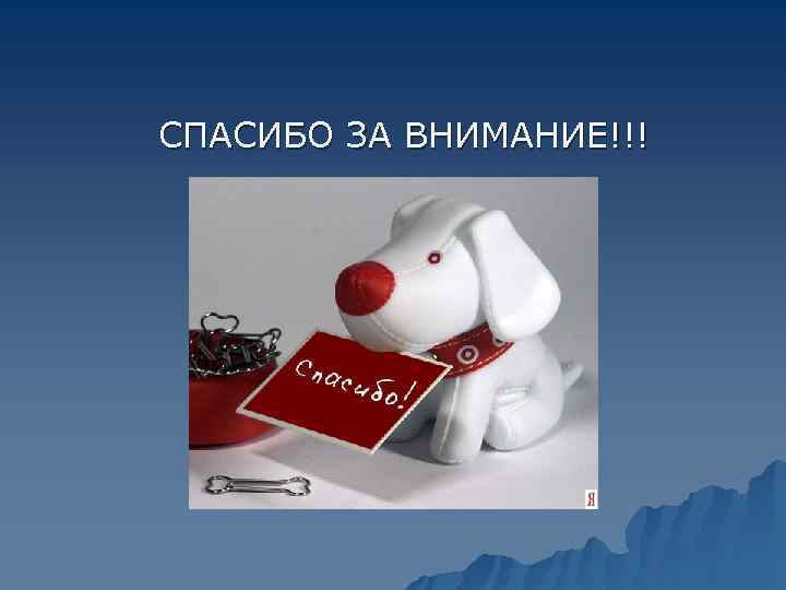 СПАСИБО ЗА ВНИМАНИЕ!!! 