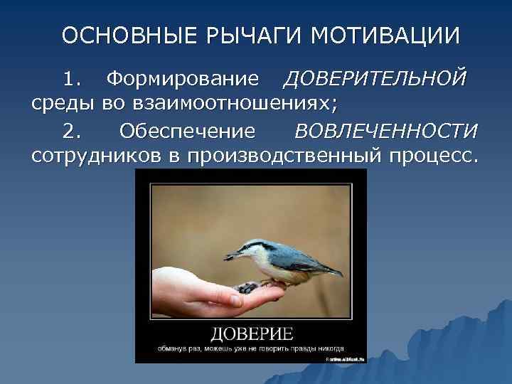  ОСНОВНЫЕ РЫЧАГИ МОТИВАЦИИ  1.  Формирование ДОВЕРИТЕЛЬНОЙ  среды во взаимоотношениях; 2.