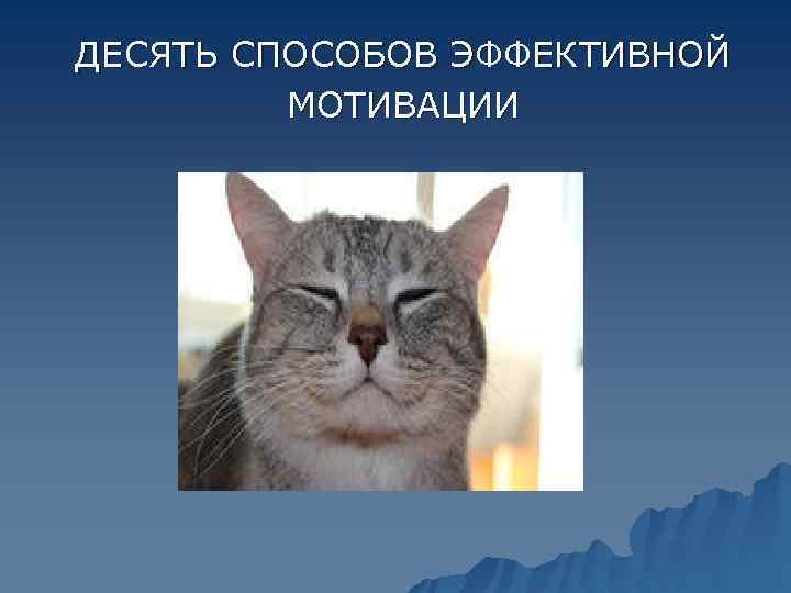 ДЕСЯТЬ СПОСОБОВ ЭФФЕКТИВНОЙ  МОТИВАЦИИ 