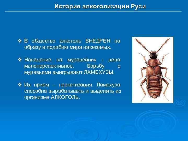    История алкоголизации Руси v В общество алкоголь ВНЕДРЕН по  образу