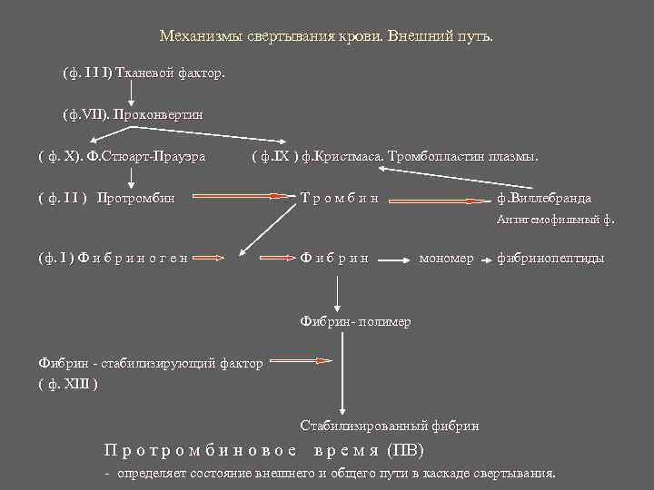 Механизмы свертывания крови. Внешний путь. (ф. I I Механизмы свертывания крови. Внешний путь. (ф. I I