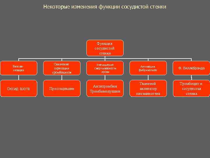 Некоторые изменения функции сосудистой стенки Функция Некоторые изменения функции сосудистой стенки Функция