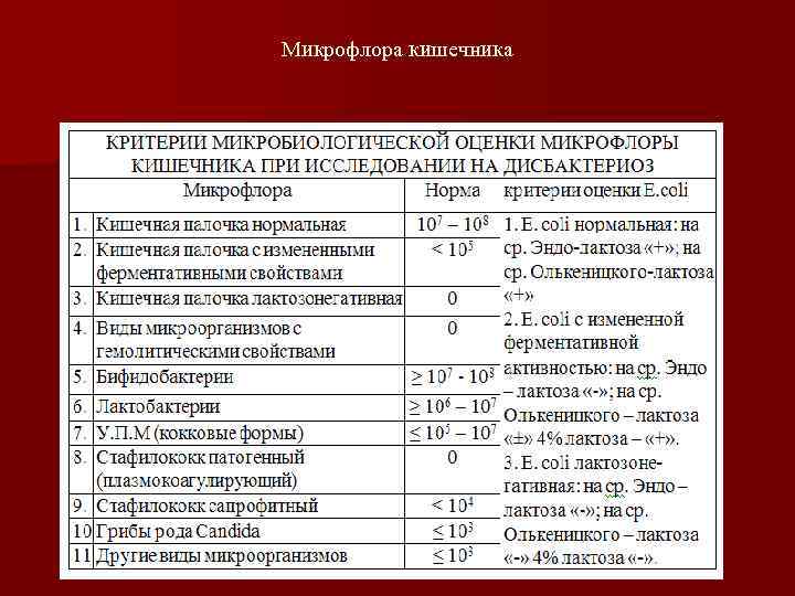 Микрофлора кишечника 