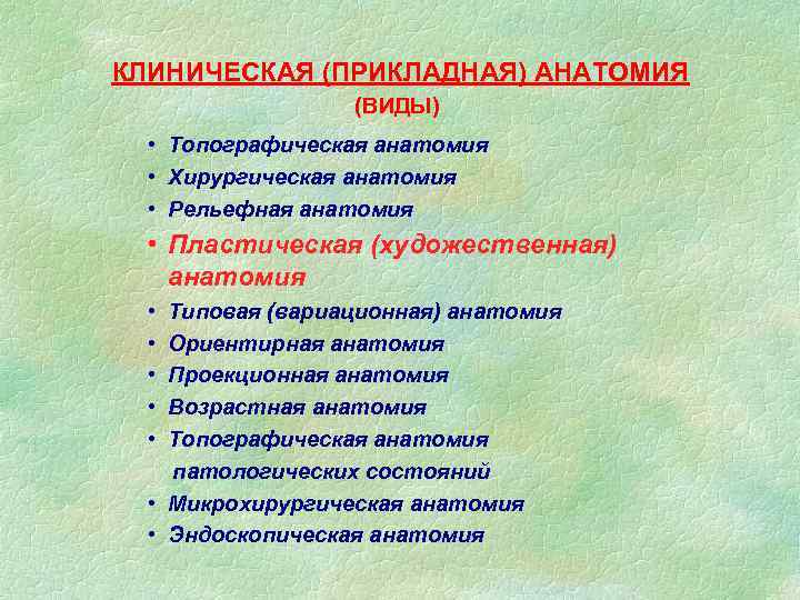 КЛИНИЧЕСКАЯ (ПРИКЛАДНАЯ) АНАТОМИЯ (ВИДЫ) • Топографическая анатомия • Хирургическая анатомия • Рельефная анатомия •