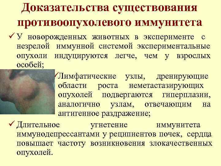   Доказательства существования  противоопухолевого иммунитета ü У новорожденных животных в эксперименте с