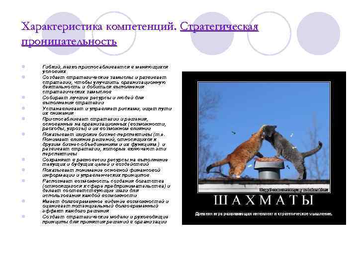 Характеристика компетенций. Стратегическая проницательность l  Гибкий, легко приспосабливается в меняющихся условиях l 