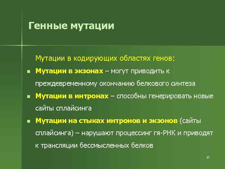 Генные мутации  Мутации в кодирующих областях генов: n  Мутации в экзонах –