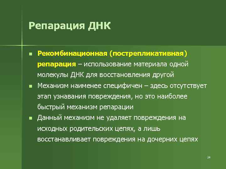Репарация ДНК n  Рекомбинационная (пострепликативная) репарация – использование материала одной молекулы ДНК для