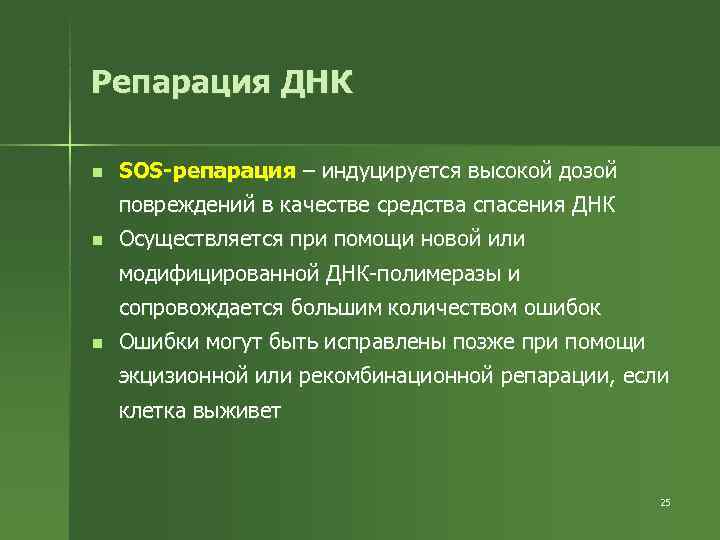 Репарация ДНК n  SOS-репарация – индуцируется высокой дозой повреждений в качестве средства спасения
