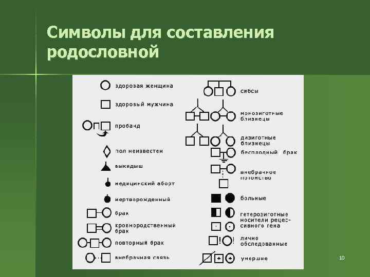 Символы для составления родословной      10 