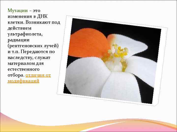 Мутации – это изменения в ДНК клетки. Возникают под действием ультрафиолета,  радиации (рентгеновских