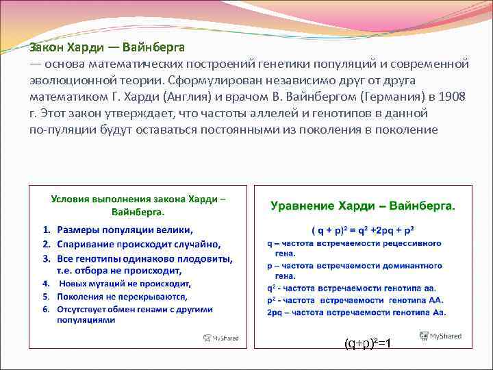 Закон Харди — Вайнберга — основа математических построений генетики популяций и современной эволюционной теории.