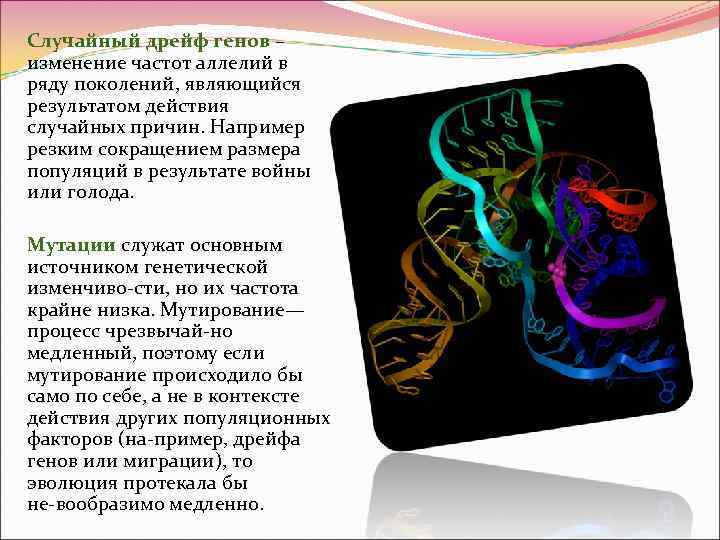 Случайный дрейф генов – изменение частот аллелий в ряду поколений, являющийся результатом действия случайных