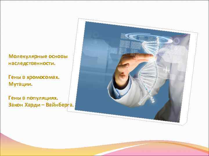 Молекулярные основы наследственности.  Гены в хромосомах. Мутации.  Гены в популяциях. Закон Харди