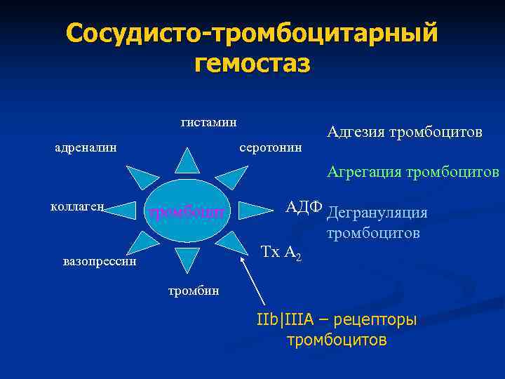 Сосудисто-тромбоцитарный гемостаз гистамин Сосудисто-тромбоцитарный гемостаз гистамин