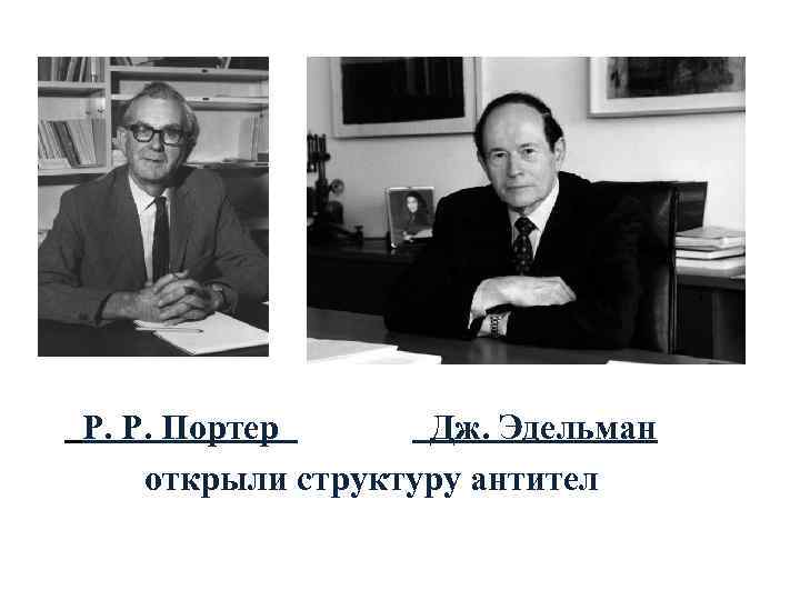  Р. Р. Портер   Дж. Эдельман  открыли структуру антител 