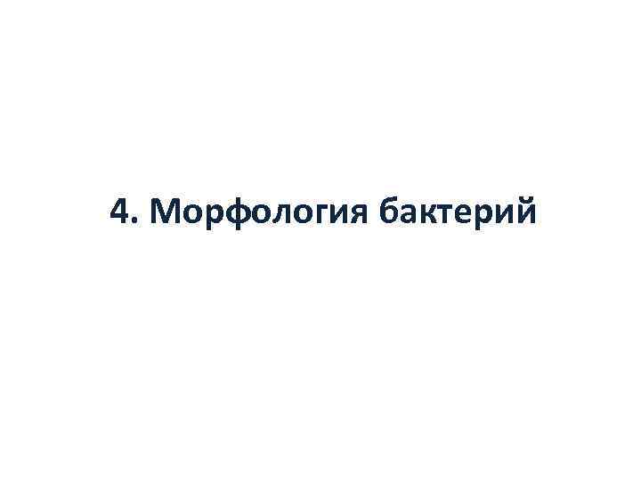 4. Морфология бактерий 