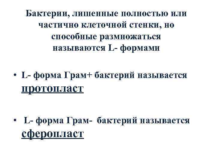  Бактерии, лишенные полностью или частично клеточной стенки, но  способные размножаться  называются