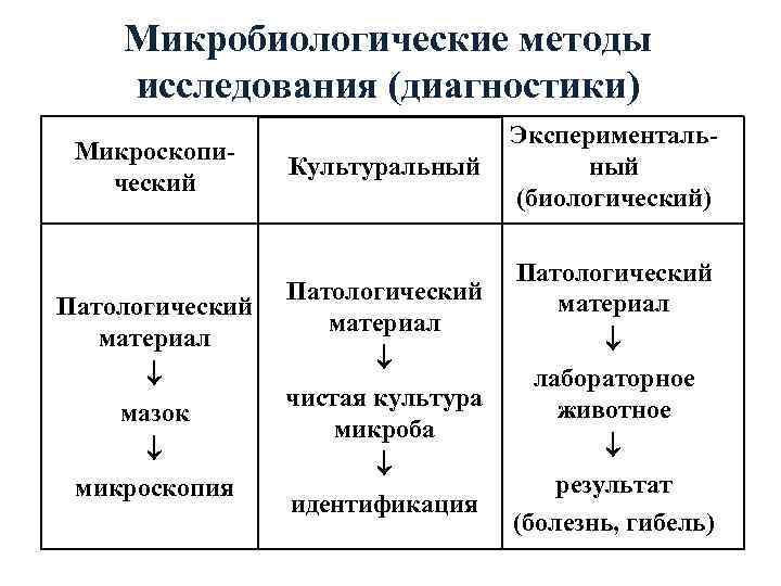 Унификации микробиологических методов исследования