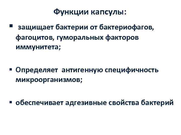   Функции капсулы: § защищает бактерии от бактериофагов,  фагоцитов, гуморальных факторов 