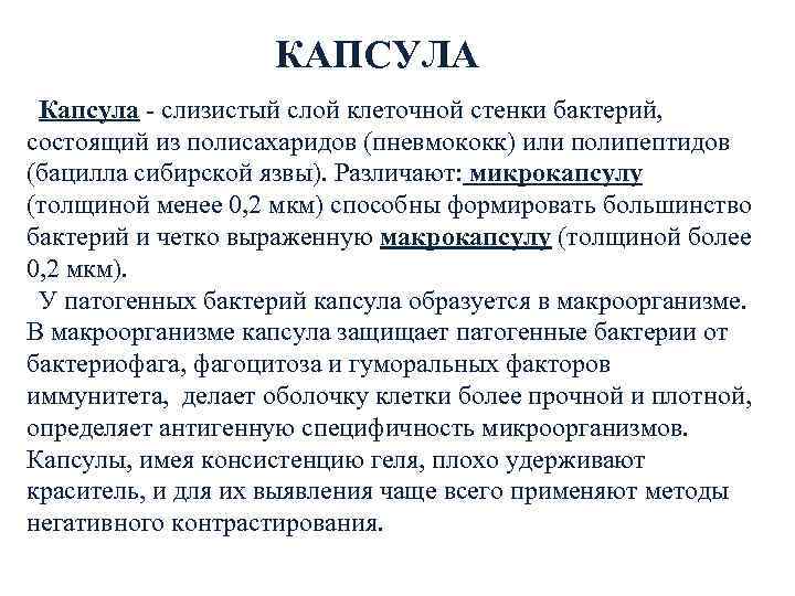     КАПСУЛА Капсула - слизистый слой клеточной стенки бактерий,  состоящий