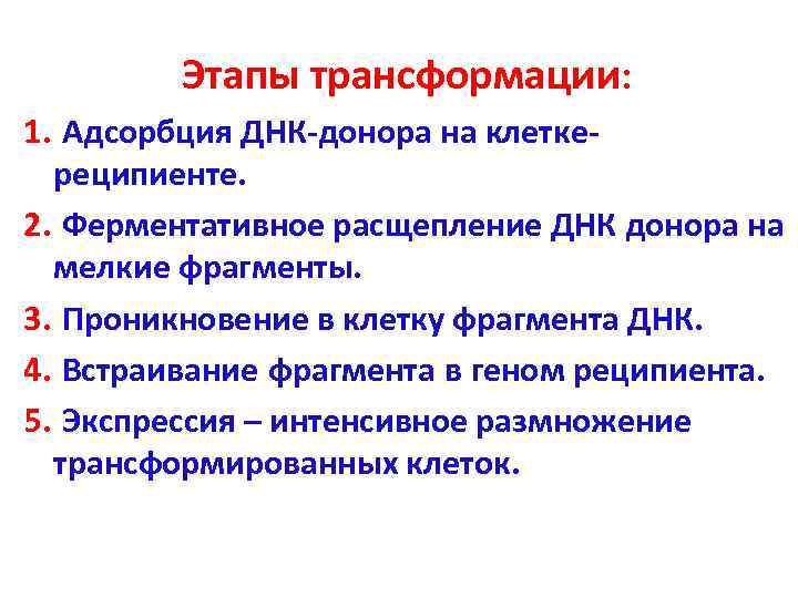    Этапы трансформации: 1. Адсорбция ДНК-донора на клетке-  реципиенте. 2. Ферментативное