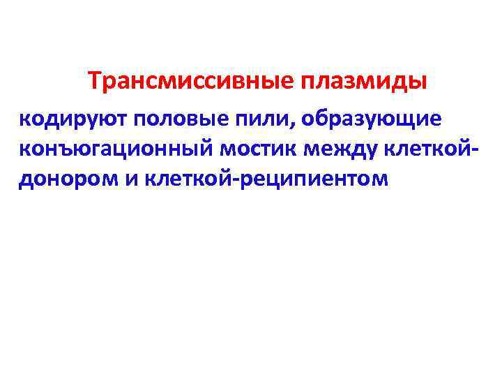  Трансмиссивные плазмиды кодируют половые пили, образующие конъюгационный мостик между клеткой- донором и клеткой-реципиентом
