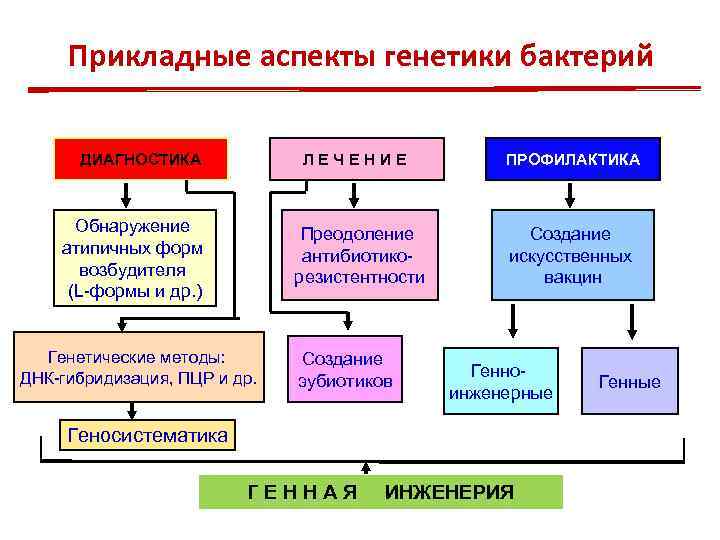  Прикладные аспекты генетики бактерий   ДИАГНОСТИКА   ЛЕЧЕНИЕ   