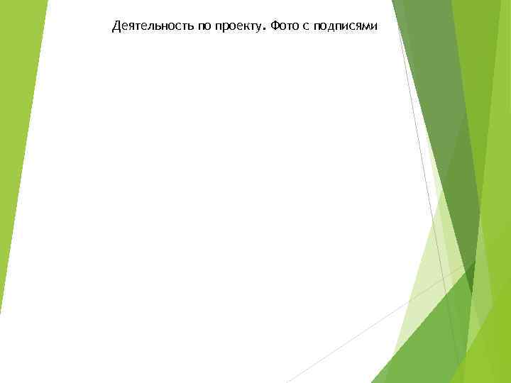 Деятельность по проекту. Фото с подписями 
