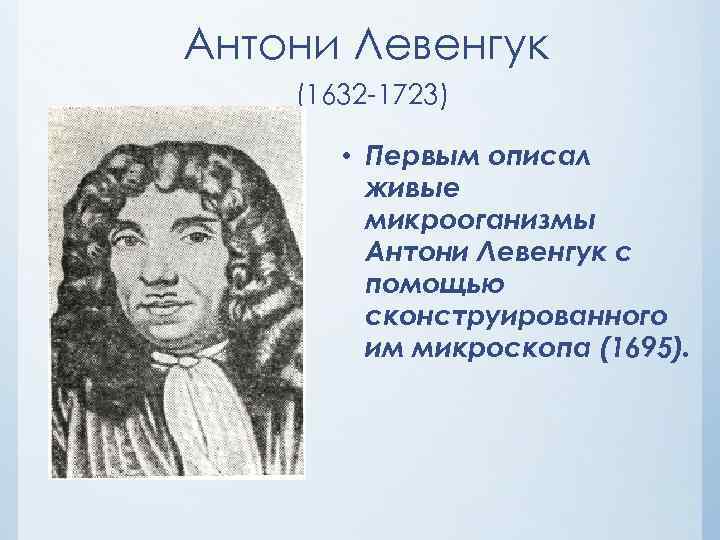Антони Левенгук (1632 -1723)   • Первым описал   живые  